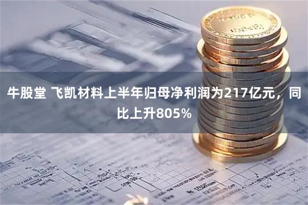 牛股堂 飞凯材料上半年归母净利润为217亿元，同比上升805%