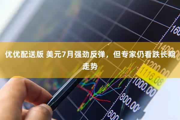 优优配送版 美元7月强劲反弹，但专家仍看跌长期走势